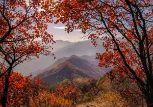 Guifeng Mountain