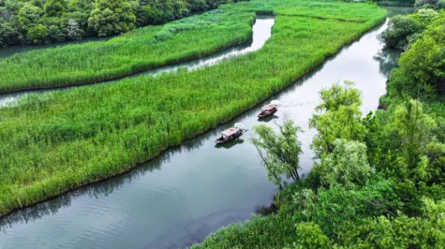 Xixi National Wetland Park