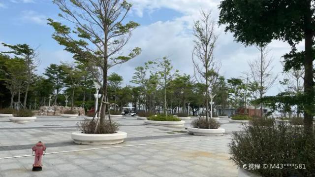 Beach Park