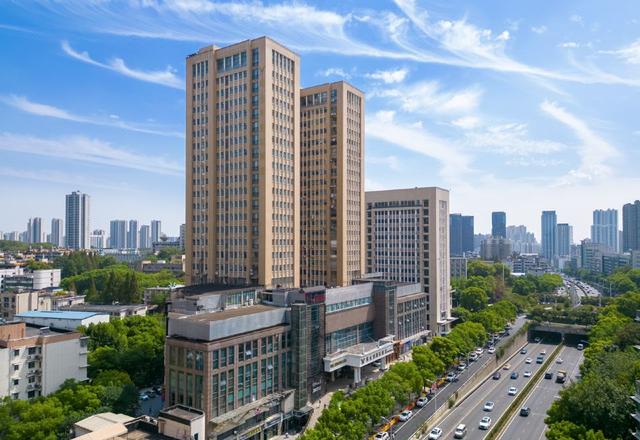 Vienna International Hotel (Wuhan jiejiekou science and technology store)