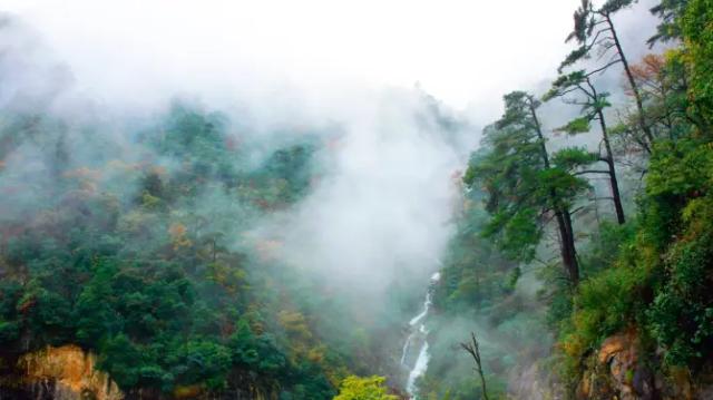 Tian Mu Mountain Scenic