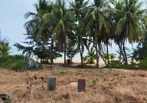 Sanya Musilin Ancient Tomb