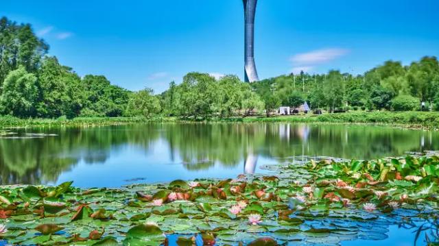 Shenyang Expo Garden