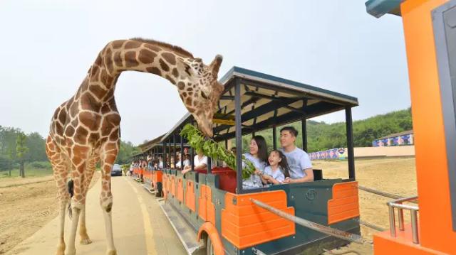 Hangzhou Safari Park