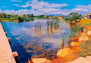 Wangguan Wetland Park