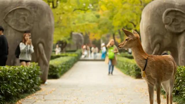 The Ming Tomb Scenic Area