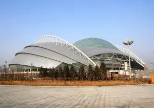 Shenyang Olympic Sports Center