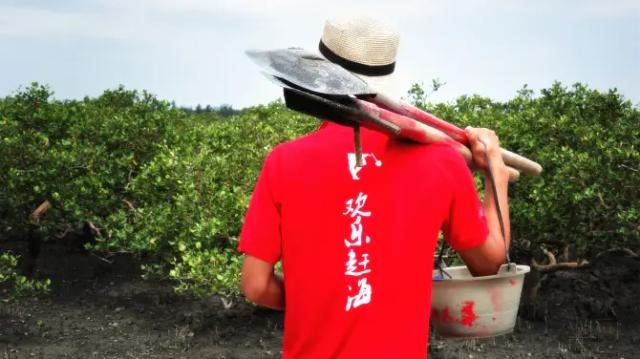 Mangrove Happy Beach Comb