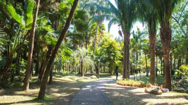 South China Botanical Garden，Cas