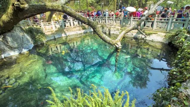 Butterfly Spring Scenic Area