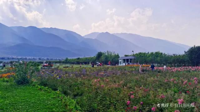 Seaside Flower Garden, Dali City