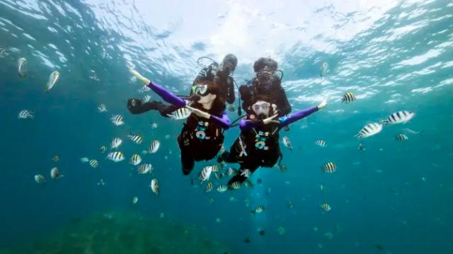 Wuzhizhou Island Diving