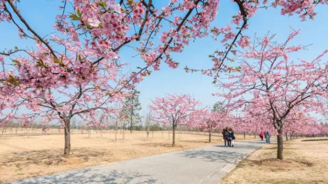 Chenshan Botanical Garden