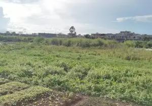 Shapojiaoye Wetland Park