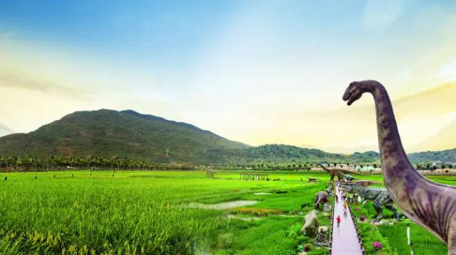 Paddy Field National Park