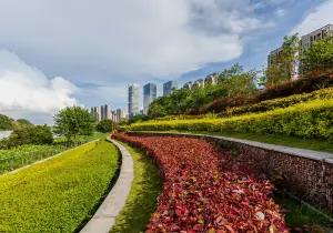 Lecong Guojia Shuili Sceneic Area