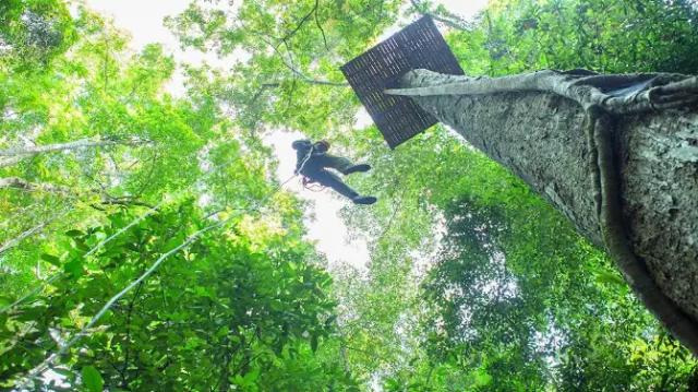 Zipline Canopy Adventure