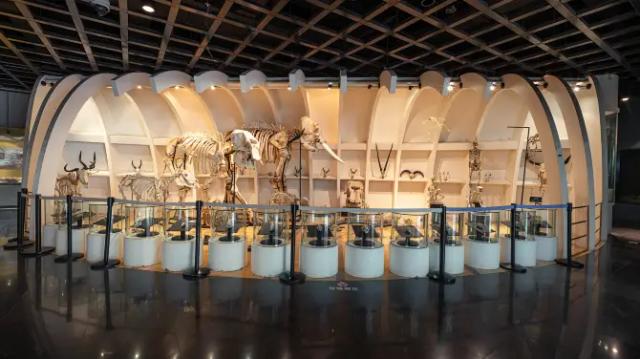 Kunming Natural History Museum of Zoology