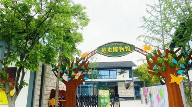 Zijin Mountain Insect Museum