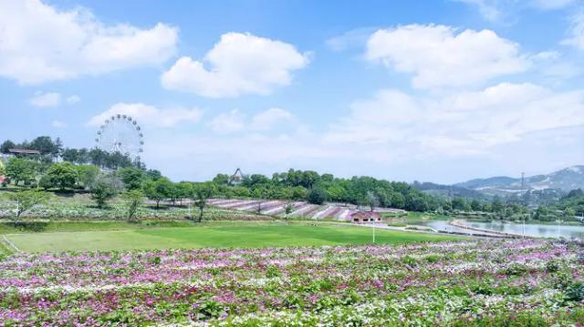 Flower Sea Paradise