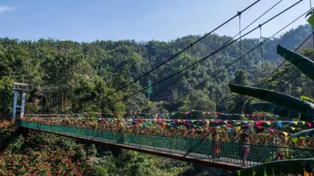 Xishuangbanna Virgin Forest Park