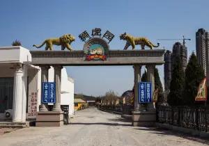 Lions and Tigers Park