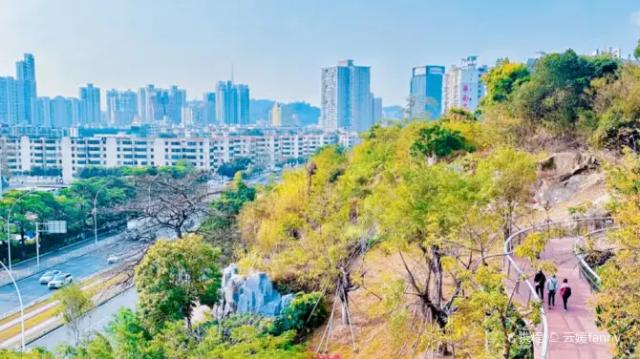 Dajingshan Shequ Park