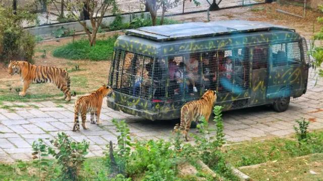 Safari Park Shenzhen