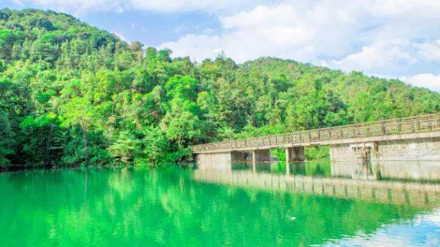 Wangzi Mountain Forest Park