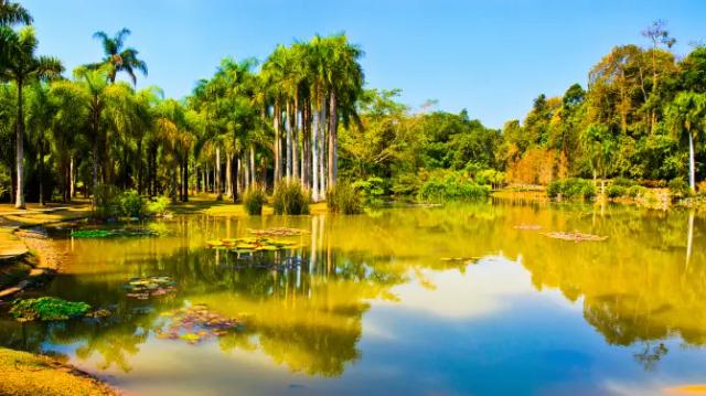 Xishuangbanna Tropical Botanical Garden, Chinese Academy of Sciences