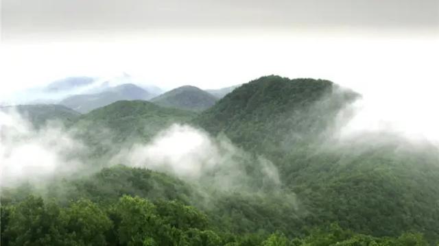 Laoshan National Forest Park of Nanjing