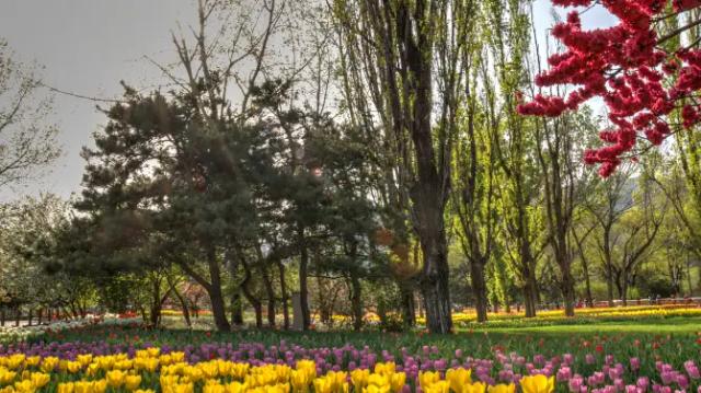 Zhongguo Ke Xueyuan Zhiwu Yanjiusuo Beijing Botanical Garden