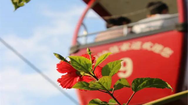 Zhonggu Cable Car