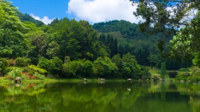 Fairy Lake Botanical Garden