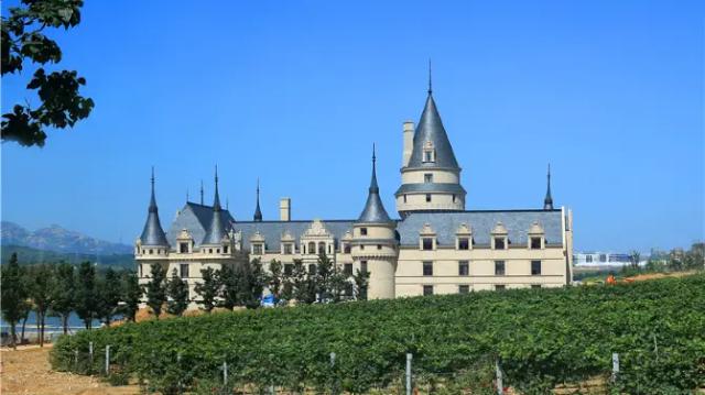 Changyu International Winery