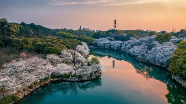 Hunan Forest Botanical Garden