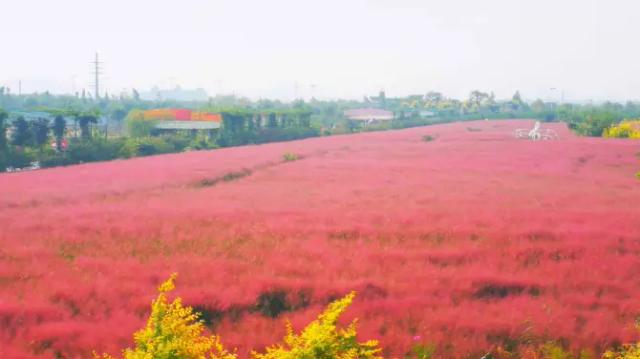 Yangmaogou Huahai Wetland