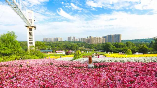 Manhua Garden