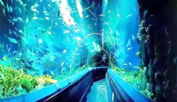 Yangzhou Polar Ocean World