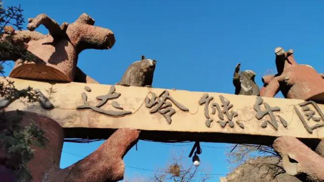 Badaling Bear Paradise