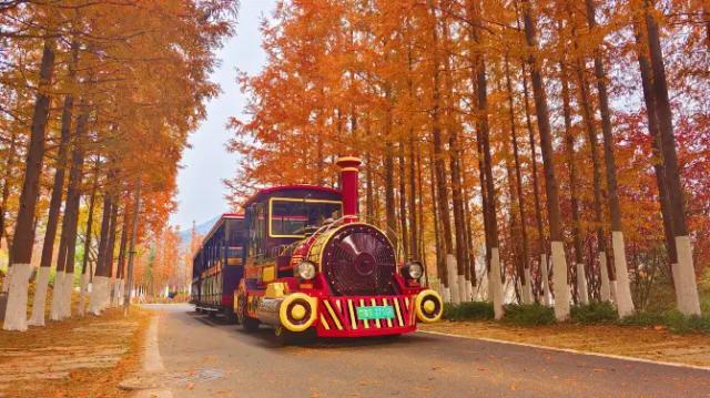 Qingdao World Horticulture Expo Park