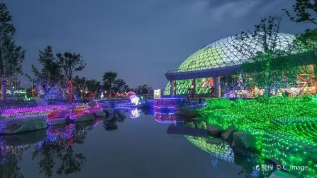 Dayangshan Botanical Garden Scenic Area