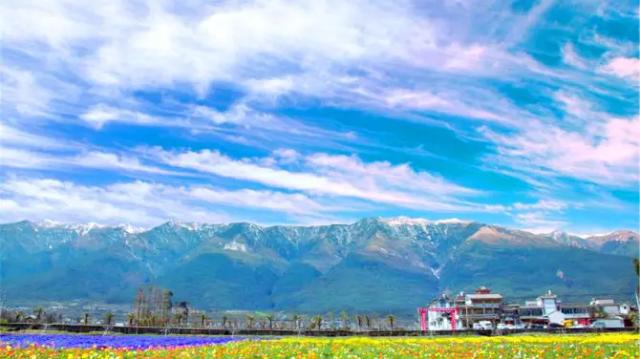 Yunhai Fangcao Flower Garden Expo Park