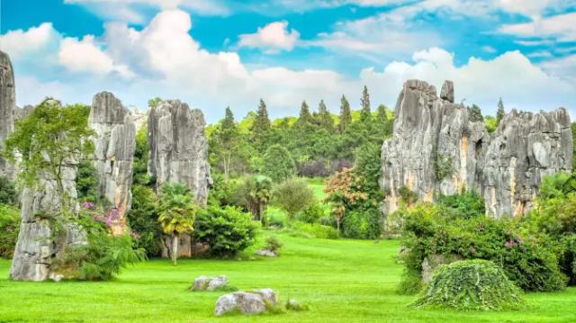 Stone Forest Scenic Area