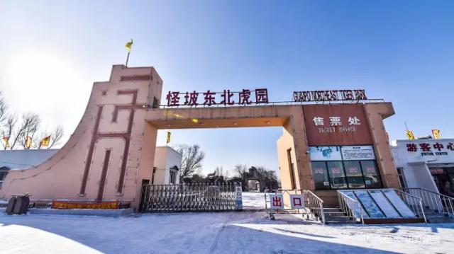 Shenyang Guaipo Siberian Tiger Park