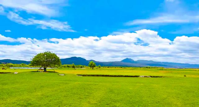 Lashi Lake Wetland. Migratory Bird Bay