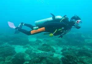 Xichong Yougan Bay Diving Center